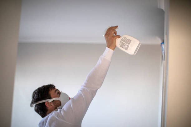 Best Fast Mold Removal  in Mojave, CA