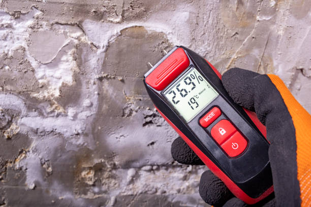 Best Mold Cleaning Services  in Mojave, CA