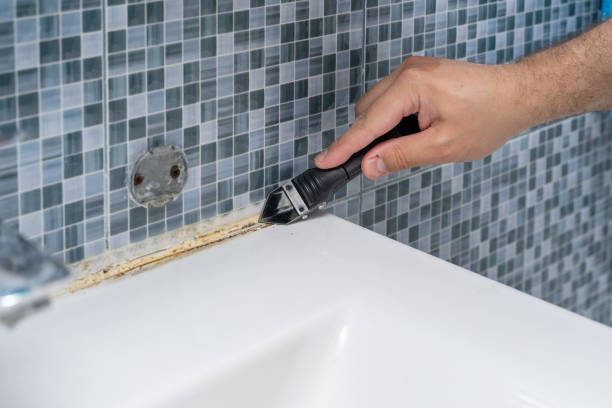 Best Commercial Mold Removal  in Mojave, CA
