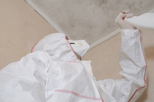 Best Mold Cleaning Services  in Mojave, CA